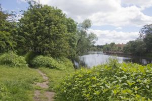 bellway yarm 4a.jpg